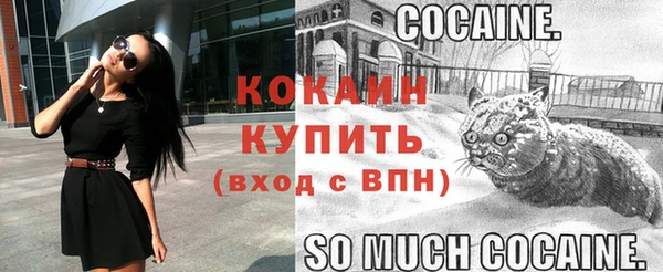 СК Вязники